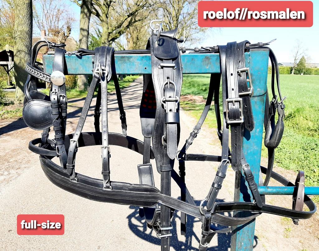 🔴NIEUW ZWART PROF FULL MAAT ENKELSPAN TUIG 350 €  🔴, Ophalen of Verzenden