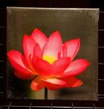 NU WEG - Pakket 4 A - VIER nieuwe wanddecoratie schilderijen, Huis en Inrichting, Woonaccessoires | Schilderijen, Tekeningen en Foto's