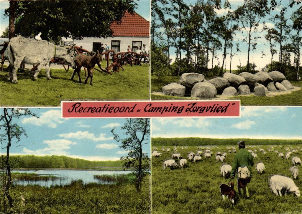Recreatieoord Camping Zorgvlied [Dr.] - 4 afb o.a. hunebed -, Ophalen of Verzenden, Voor 1920, Gelopen, Drenthe
