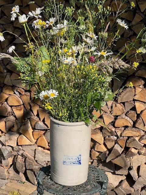 VAN RIJN'S MOSTERDPOT STEENGOED - HOOG MODEL, Antiek en Kunst, Ophalen of Verzenden