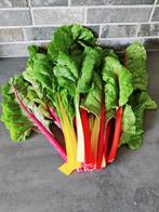 Snijbiet mix zaden BIO, Verzenden, Zaad