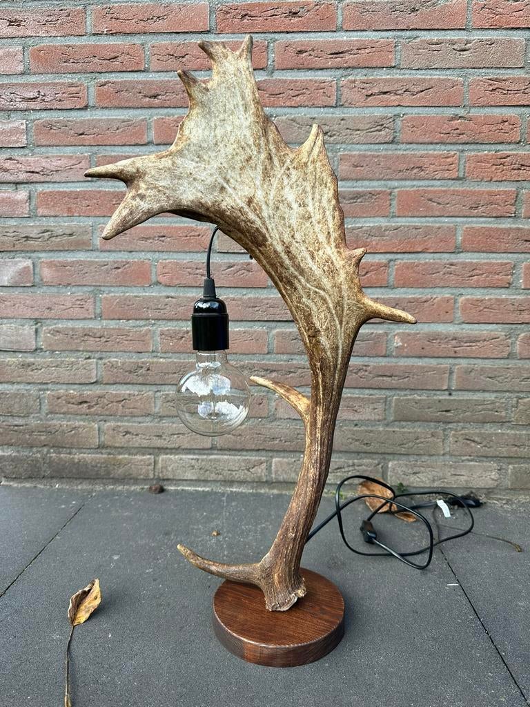 Geweilamp.schemerlamp.geweien.edelhert.damhert.tafellamp., Ophalen of Verzenden, Zo goed als nieuw, 50 tot 75 cm