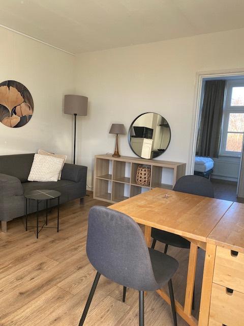 STUDIO gemeubileerd bij MAASTRICHT-RANDWIJCK  voor 2-12mnd, 28 m², Direct bij eigenaar, Limburg, 2 kamers