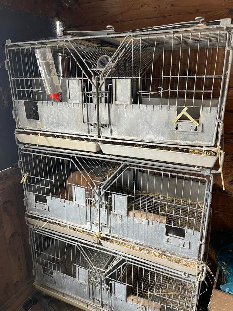 Metalen flat met mestlade 3/6 delig, Meerdere dieren, Groot, 3 tot 5 jaar