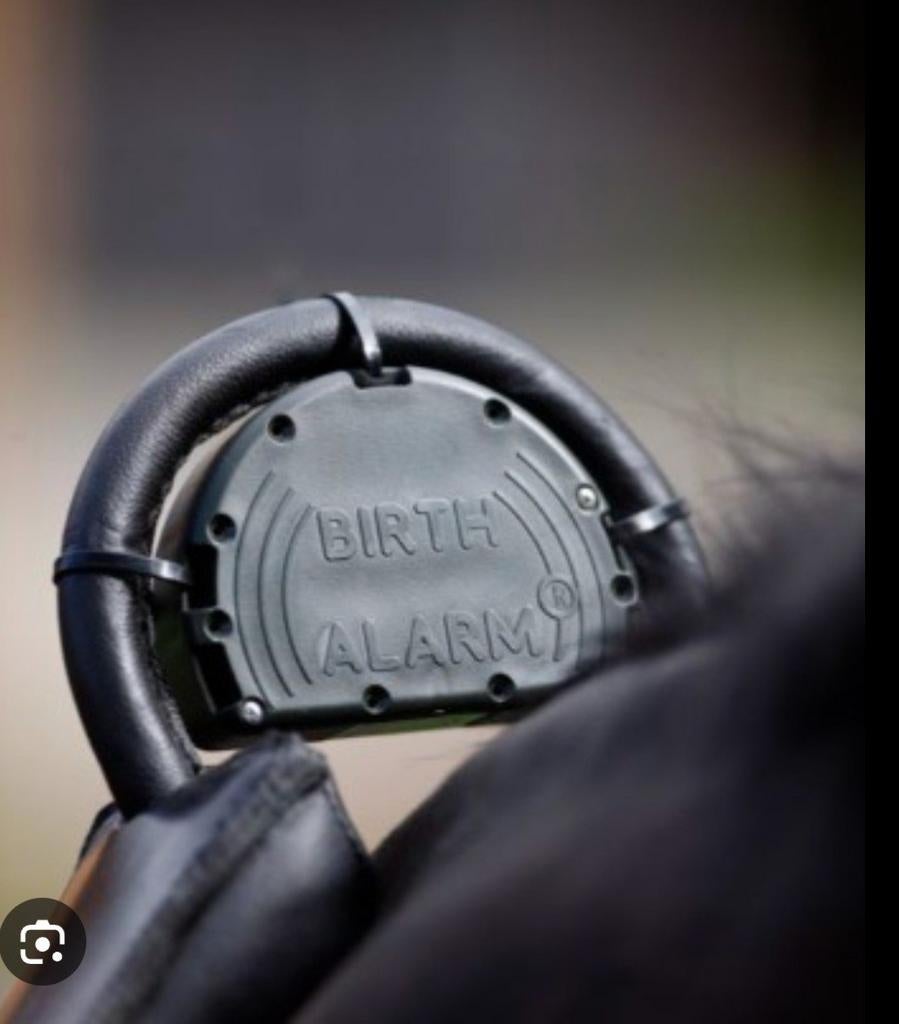 Birth alarm te huur, Ophalen of Verzenden, Zo goed als nieuw, Dressuur