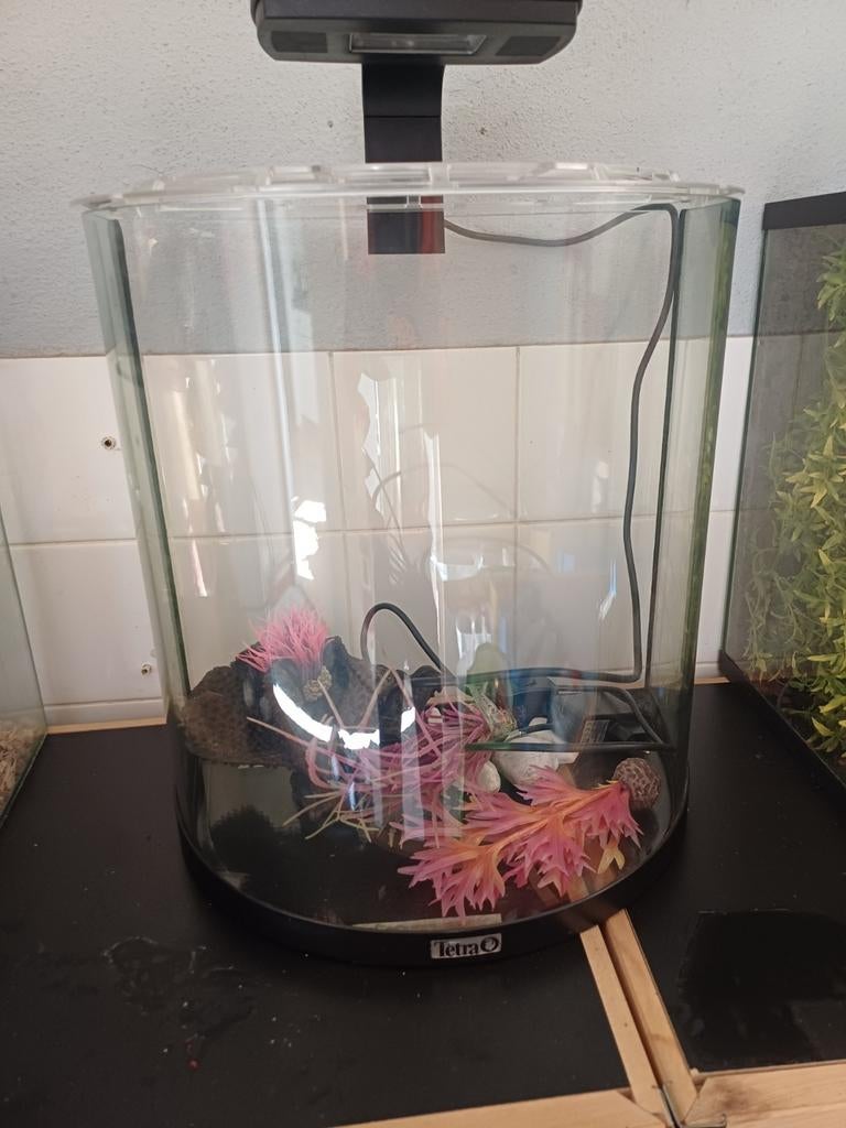 Aquarium, Ophalen of Verzenden, Inclusief toebehoren, Leeg aquarium, Overige merken