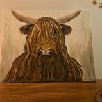 Schilderij Schotse Hooglander 50x40 cm, Ophalen of Verzenden