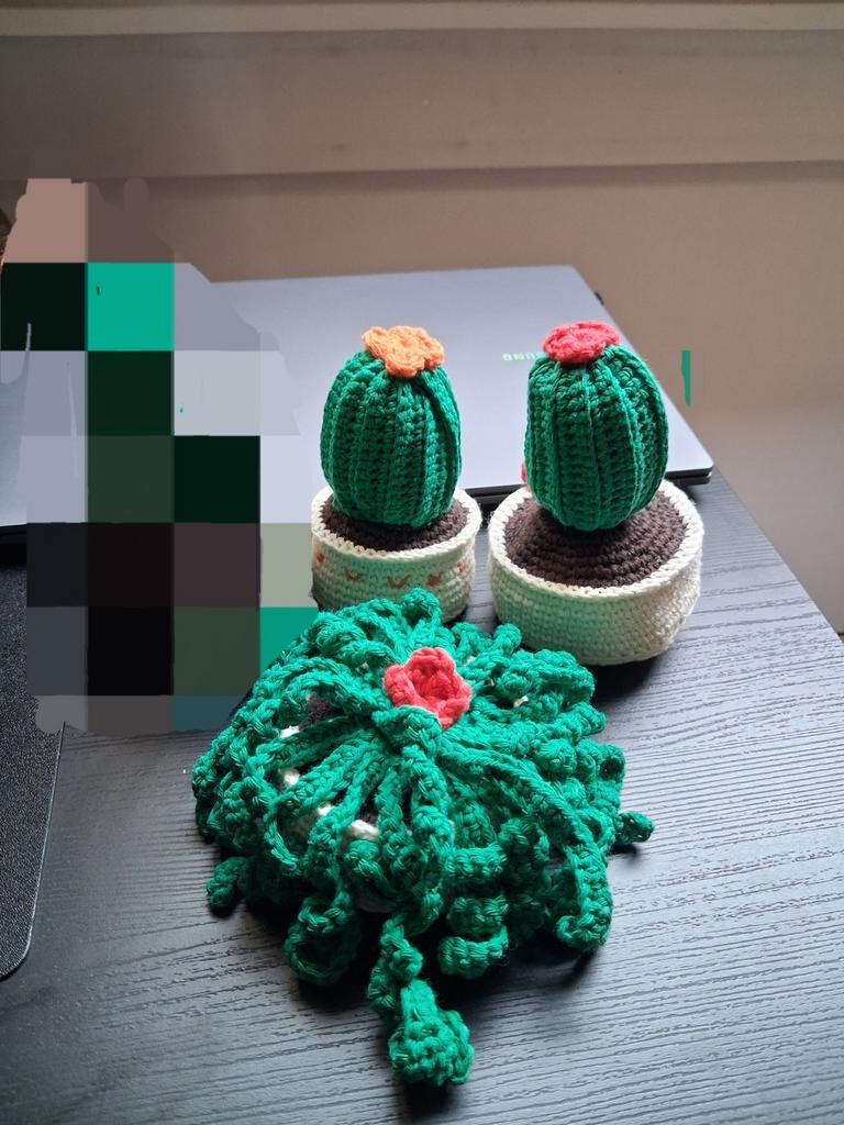 Gehaakte cactus nieuw, Ophalen of Verzenden, Nieuw, Haken, Overige typen