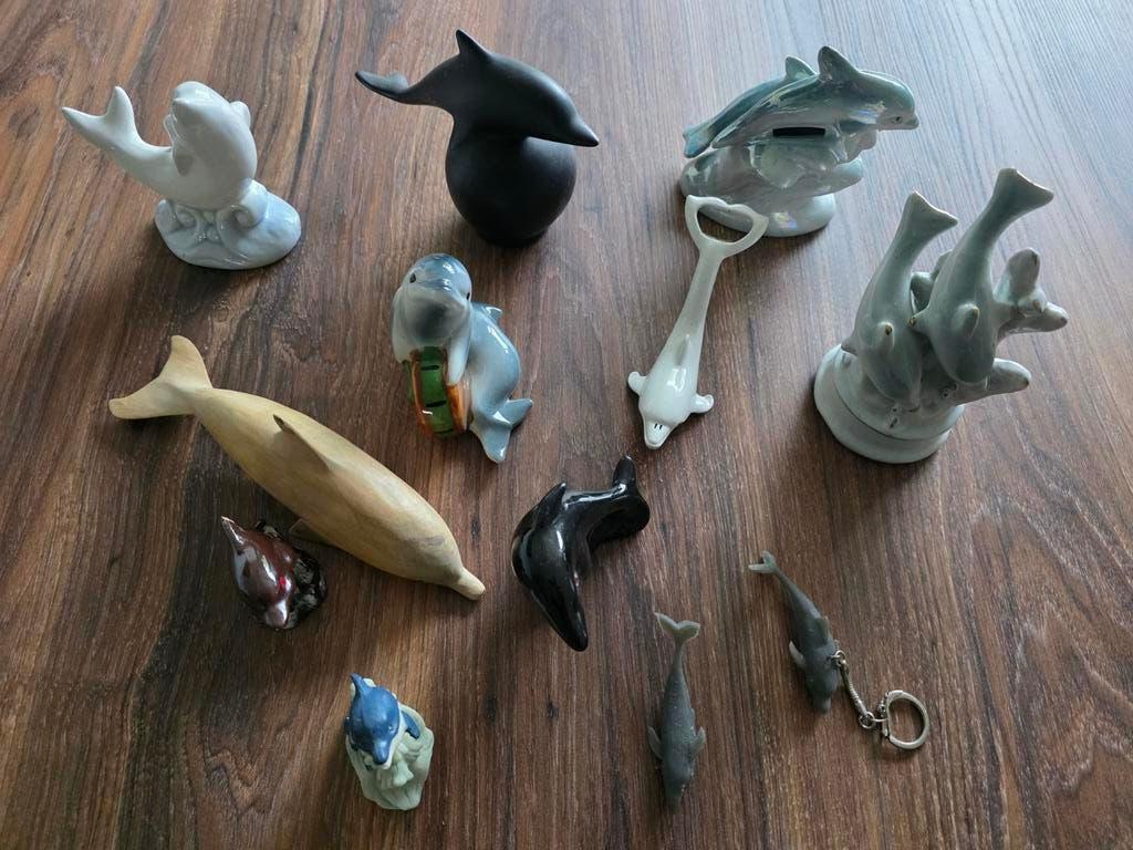 Dolfijnen verzameling, Ophalen