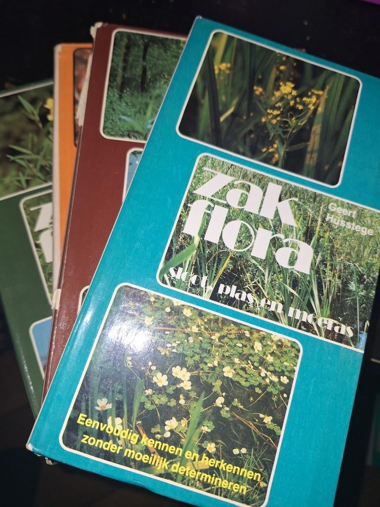 Zakflora, Ophalen of Verzenden, Zo goed als nieuw, Interieur en Design