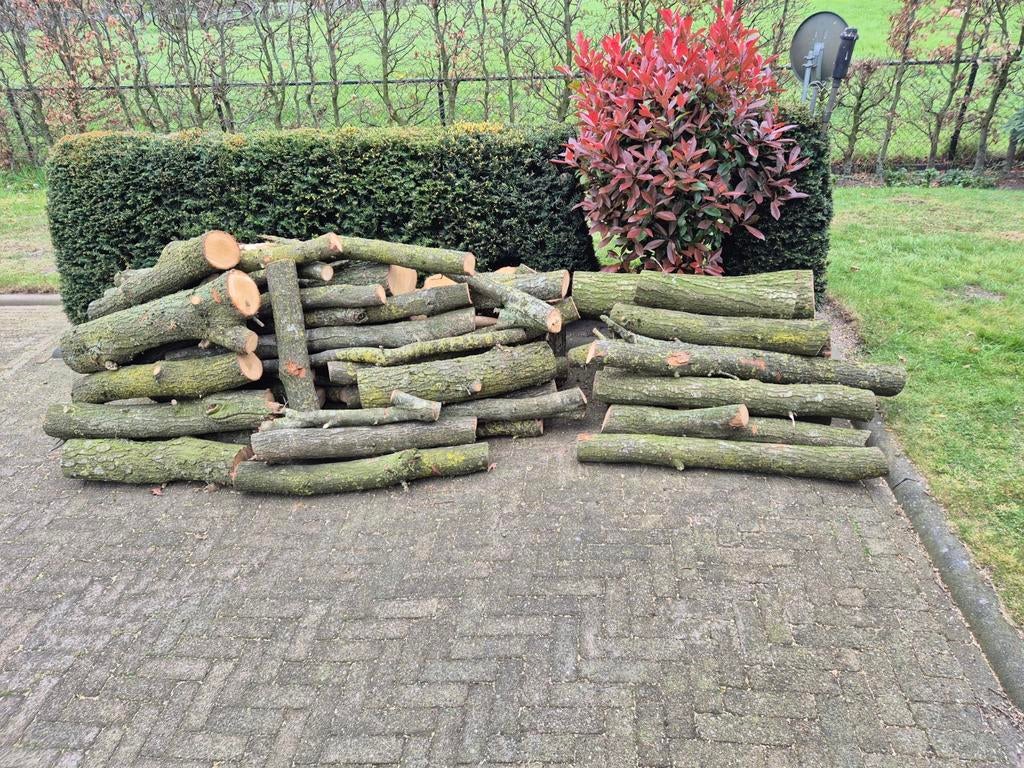 Partijen eikenhout - Ideaal voor brandhout of decoratie, Tuin en Terras, Haardhout, 3 tot 6 m³, Ophalen, Eikenhout, Blokken
