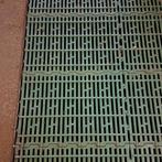 Kunststof varken rooster, Geslacht onbekend, Varken, 6 jaar of ouder