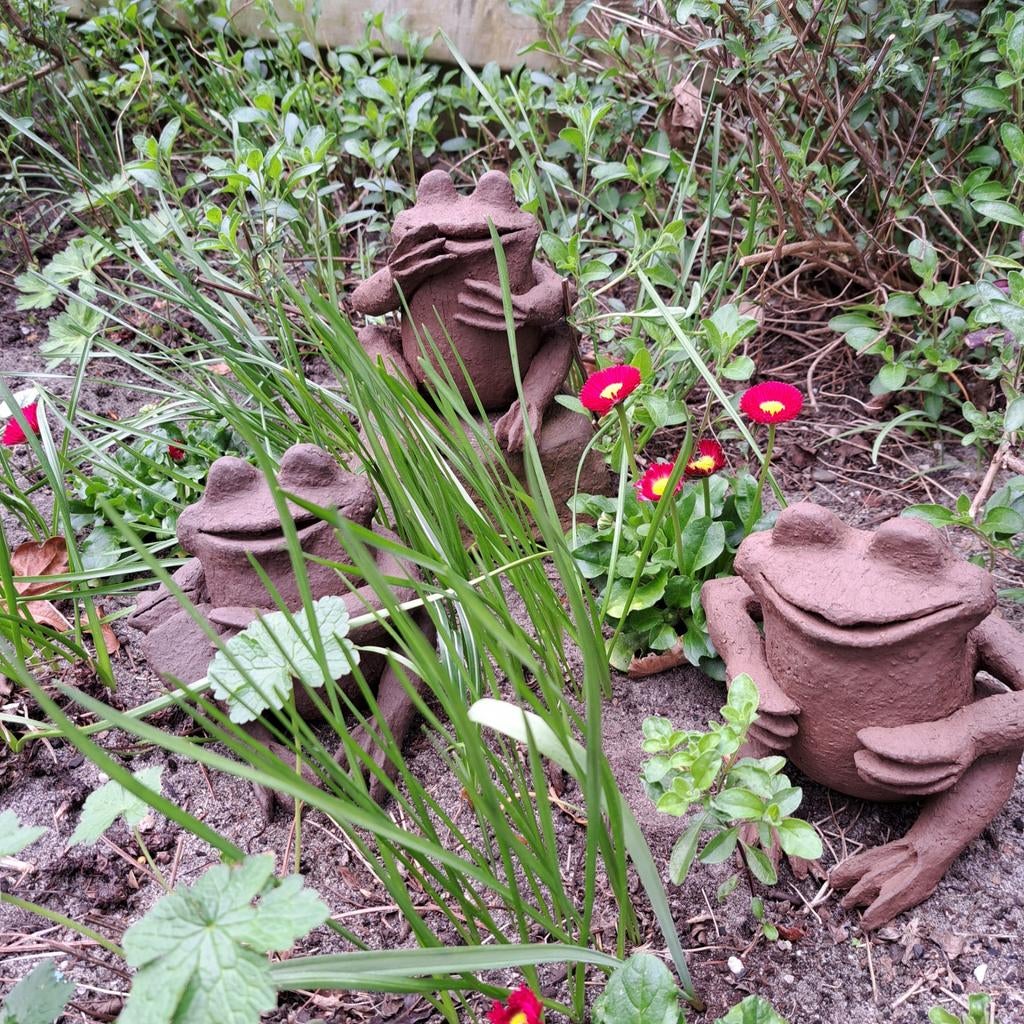 Leuke kikkers in de tuin, Ophalen of Verzenden, Nieuw