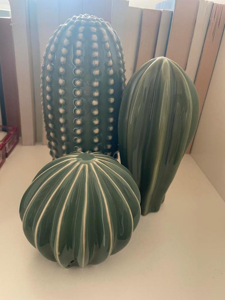 IKEA Groene Decoratieve Cactussen Set, Huis en Inrichting, Woonaccessoires | Overige, Zo goed als nieuw, Ophalen of Verzenden