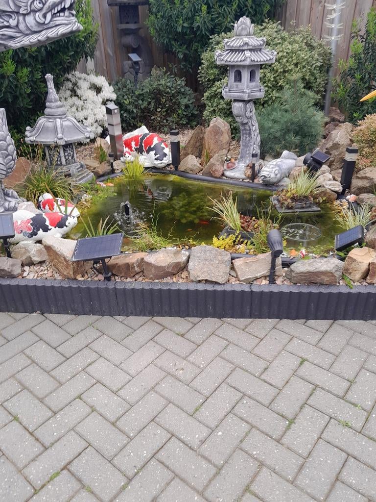 izgst. vijverbak 750 ltr, Ophalen of Verzenden, 20 m² of meer