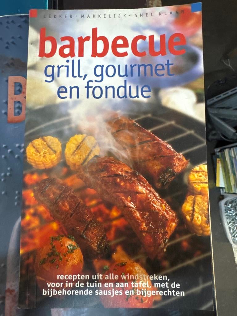 Barbecue, Grill, Gourmet en Fondue Kookboek, Hoofdgerechten, Ophalen of Verzenden, Zo goed als nieuw, Europa