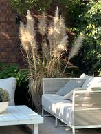 Borek tuinbank, ontworpen door Wolterinck, Ophalen, Zo goed als nieuw, Overige materialen