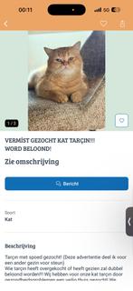 Gezocht!!, Dieren en Toebehoren, Vermiste en Gevonden Dieren