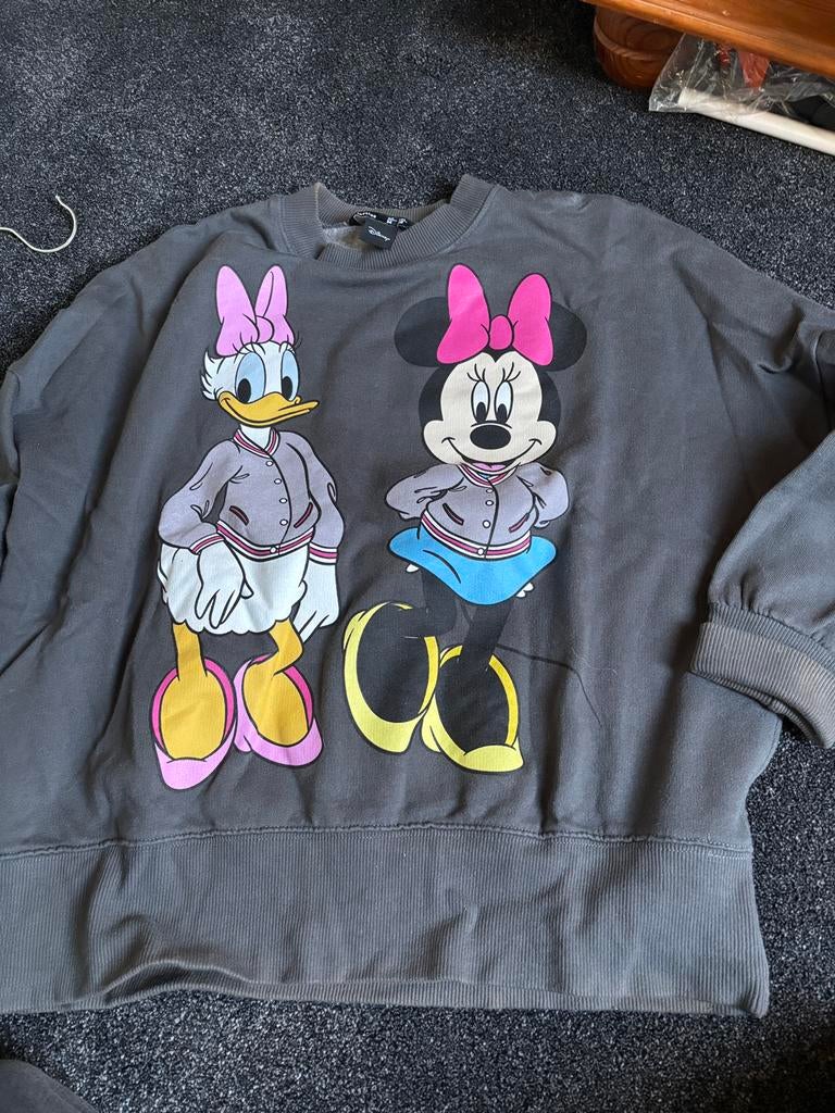 Disney trui, Kleding | Dames, Ophalen of Verzenden, Zo goed als nieuw, Maat 38/40 (M), Grijs
