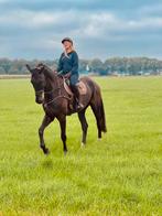 Enthousiaste bijrijder gezocht – verzorging in overleg