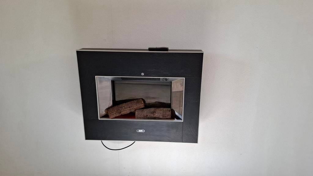 Elektrische sfeerhaard EWT LTH20 - met afstandsbed, Ophalen, Gebruikt, Hangende haard, Elektrische haard