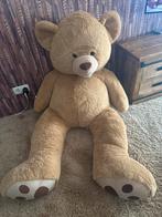 Hele grote teddybeer!, Ophalen, Zo goed als nieuw, Stoffen beer, Overige merken