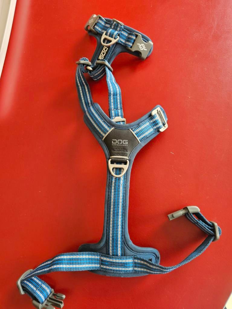 Dog copenhagen xs, Ophalen of Verzenden