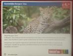 BurgersZoo Dierentuin Arnhem Voordeelbon, Tickets en Kaartjes, Drie personen of meer, Dierentuinbon