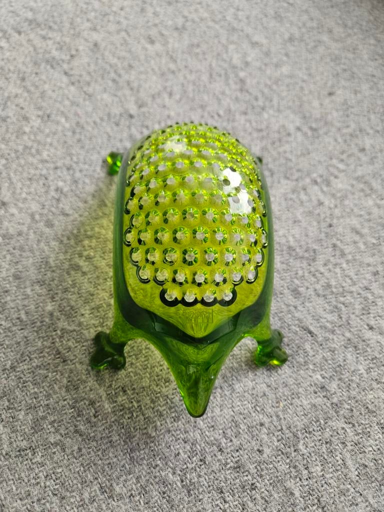 Rasp Egel merk Koziol, Ophalen of Verzenden, Zo goed als nieuw, Kunststof, Groen