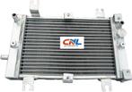 Radiateur Bombardier Can-Am CAN AM DS250 DS 250 2006-2012 07, Nieuw, Ophalen of Verzenden