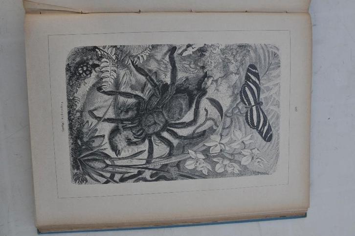 Het leven der Dieren A.E.Brehm 3 delen 2062 pg. ca.1925, Boeken, Dieren en Huisdieren, Gelezen, Overige diersoorten, Ophalen of Verzenden