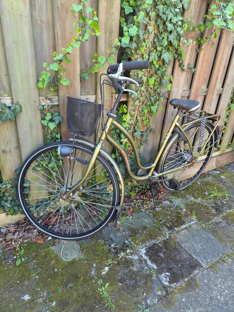 Damesfiets met mandje, Velgrem, 50 tot 53 cm, Ophalen, Overige merken