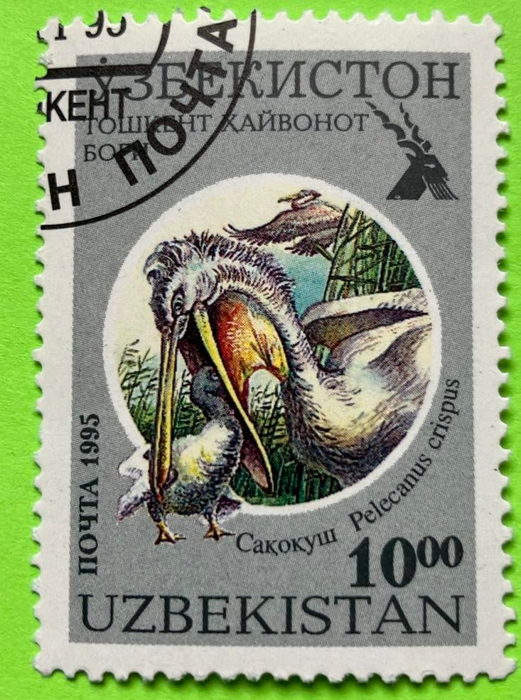 Uzbekistan, Ophalen of Verzenden, Gestempeld