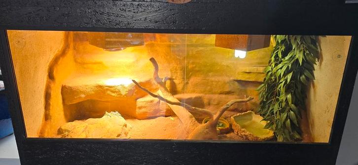 Terrarium 100x45x65, Dieren en Toebehoren, Reptielen en Amfibieën | Toebehoren, Zo goed als nieuw, Terrarium of Paludarium, Ophalen