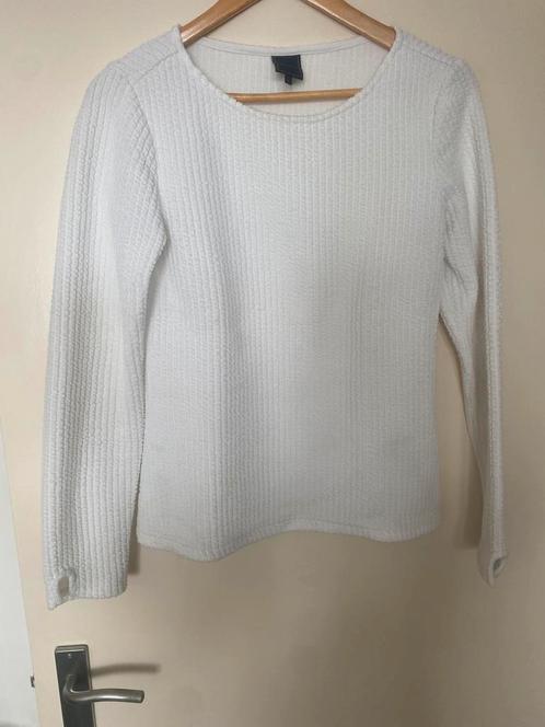 Zomer trui van Josephine & Co., Kleding | Dames, Truien en Vesten, Zo goed als nieuw, Wit, Ophalen of Verzenden