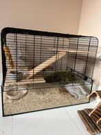 Hamsterkooi, Dieren en Toebehoren, Ophalen, Minder dan 75 cm, Kooi, Minder dan 60 cm