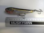 Kunstaas: Storm Thunder Dog 110 Topwater pluggen, Verzenden, Gebruikt, Overige typen