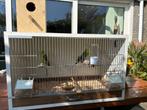 Broedkooi + nieuw broedblok, Dieren en Toebehoren, Vogels | Hokken en Kooien, Ophalen, Zo goed als nieuw, Hout, Broedkooi of Kweekkooi