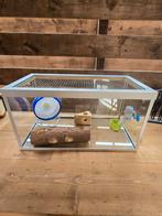 Hamster hok / aquarium, Dieren en Toebehoren, Knaagdieren en Konijnen | Hokken en Kooien, Minder dan 75 cm, Zo goed als nieuw