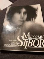 Miloslav Stibor - Ludvik Baran -1990 *Fotografie*, Ophalen of Verzenden, Ludvik Baran, Gelezen, Fotografen