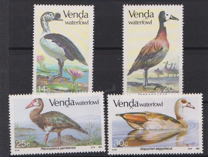 Venda (Z-Afrika) 1987 Water vogels, Postzegels en Munten, Postzegels | Thematische zegels, Postfris, Dier of Natuur, Verzenden