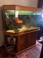 Aquarium met blank eiken kast., Ophalen, Zo goed als nieuw, Leeg aquarium