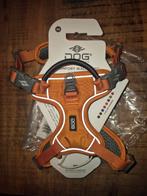 Dog copenhagen maat xs, Ophalen of Verzenden, Nieuw