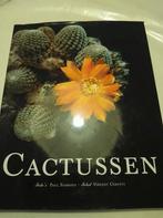 V. Cerutti - Cactussen, Boeken, V. Cerutti, Ophalen of Verzenden, Zo goed als nieuw