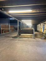 1 stal  beschikbaar op stalhouderij de sluis, Dieren en Toebehoren, Stalling en Weidegang