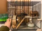 Hamstervilla - starterset alles zit erbij, Dieren en Toebehoren, Ophalen, Kooi, Minder dan 60 cm