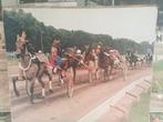 Oude foto s, Antiek en Kunst, Ophalen of Verzenden