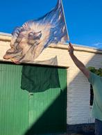 Worship vlaggen leeuw van Juda, Ophalen of Verzenden, Nieuw, Overige typen