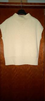 JOSEPHINE & CO SPENCER/ TOP MAAT XL., Kleding | Dames, Truien en Vesten, Overige kleuren, Maat 46/48 (XL) of groter, Ophalen of Verzenden