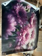 Tuinposter 61x81 NIEUW, Ophalen, Zo goed als nieuw